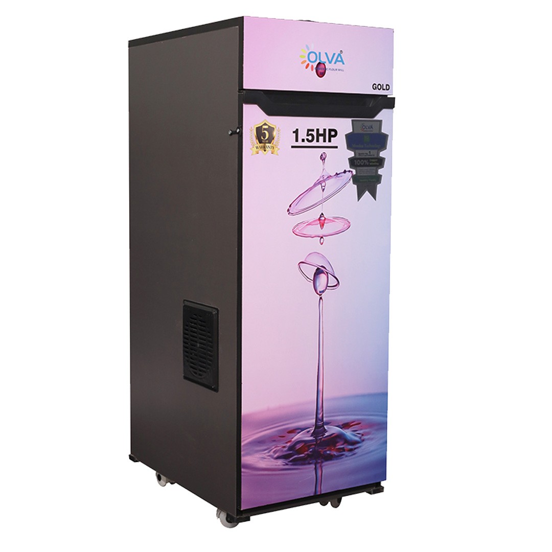 OLVA GOLD REGULAR JUMBO